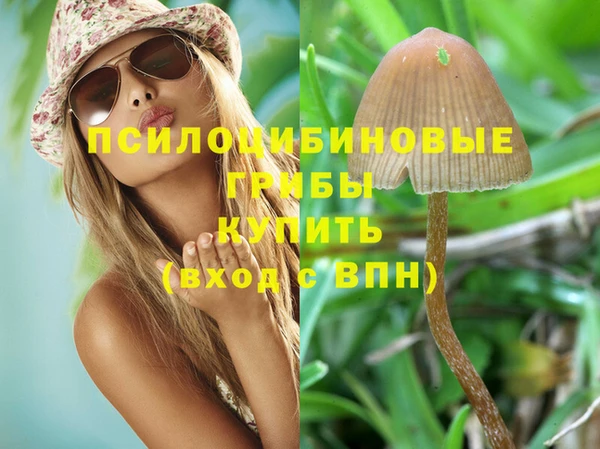 PSILOCYBIN Алексин