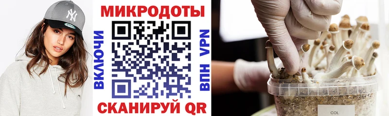 Псилоцибиновые грибы ЛСД  купить наркотики сайты  кракен как войти  Приволжск 